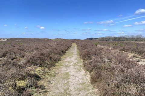 Photo de Gloop le long du parcours