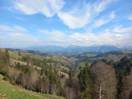 Fotografia z mosi mönä na trase