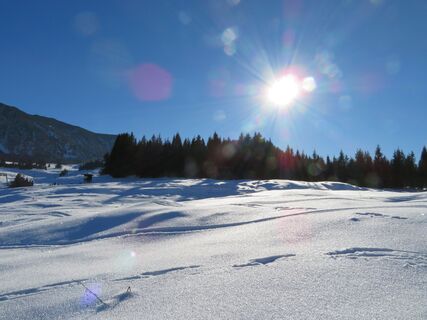 Labenberg mit Dachsteinblick