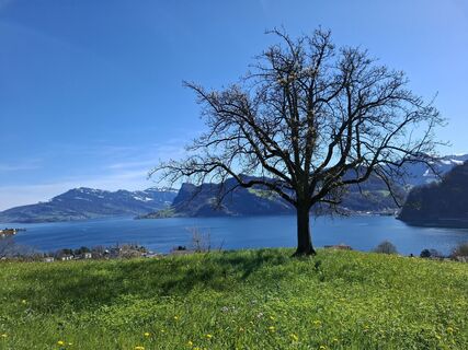 Photo de Maurer Silvia le long du parcours