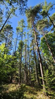 Fotografie de la Soma Gyimesi de-a lungul turului