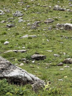 Photo de Tw Info le long du parcours