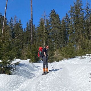 Fern von der Piste