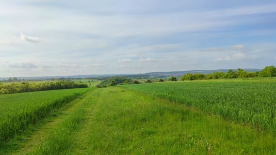 Wanderweg Rund um Dalem