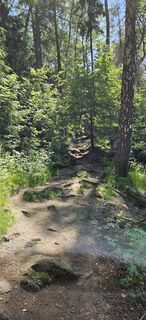 Fotografia z Andreas Henning na trase