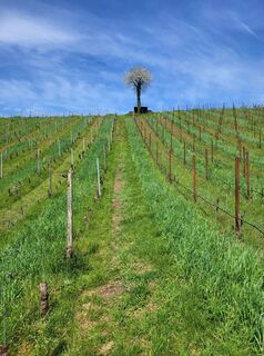 Fotografija s spletne strani Anke Hetzer na poti
