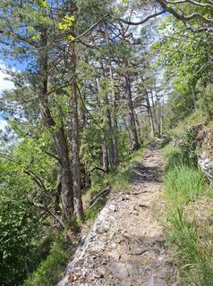 Photo de Maurer Silvia le long du parcours