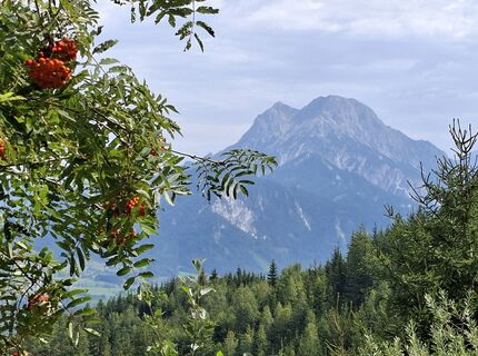 Foto von kstb entlang der Tour