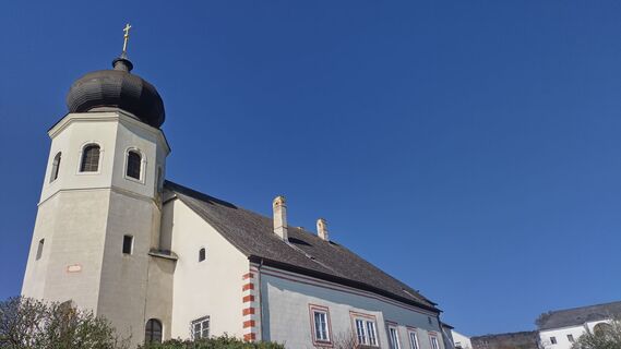 Fotografia z bergwolfi na trase