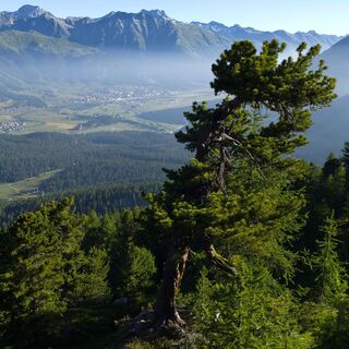 Muottas da Schlarigna