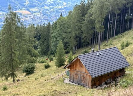 Foto von Natur_erleben_dg entlang der Tour