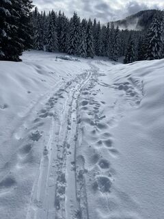 Foto von Verena liebhart entlang der Tour