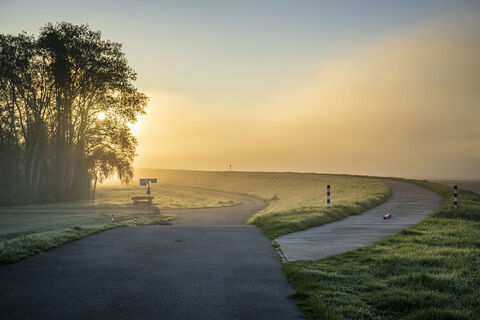 Elberadweg beim Sonnenaufgang