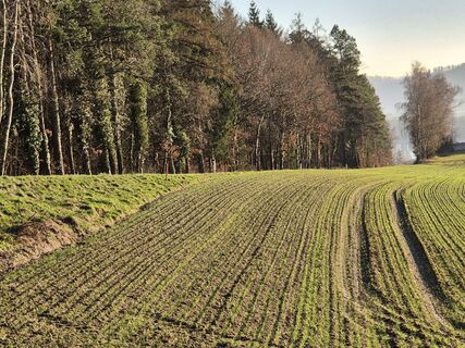 Photo de josef duermoser le long du parcours