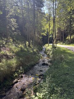 Fotografija s spletne strani Robert Kremlicka na poti