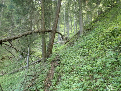 Aufstieg