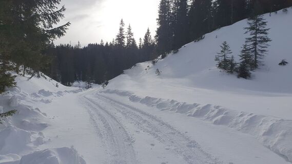1.0 km Schräg rechts: Umgehung Wildfütterung