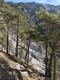 Zdjęcie z Markusss wzdłuż trasy