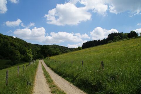 Hängebrücke am Wisser Bach