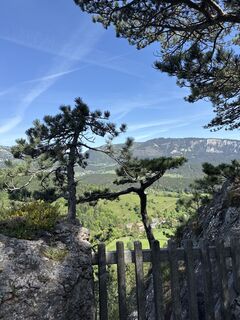 Фото с сайта Andreas Vogel 1 во время экскурсии