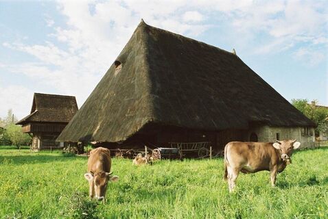 Strohdachhaus Muhen