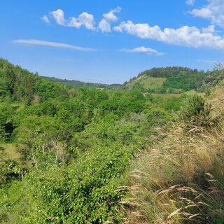 Kammweg Jungfernsprung, Blick ins Jonastal