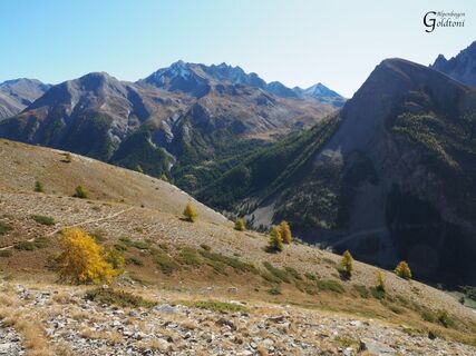 A076 Alpen