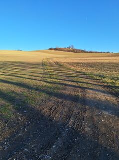 Fotografija s spletne strani Andrea Roschek na poti