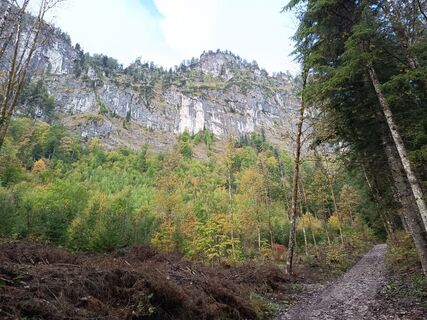 Photo de gary w le long du parcours