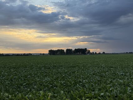 Fotografie z Schaali na trase