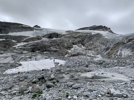 Foto von Koen De Wit entlang der Tour