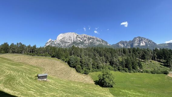 Fotografia z Thorsten Tom Freund na trase