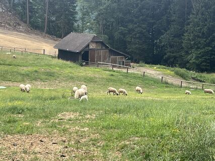 Foto von Nadine A. entlang der Tour