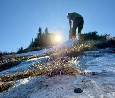 Fotografija s spletne strani Natur_erleben_dg na poti