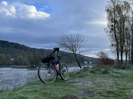 Foto von boern entlang der Tour