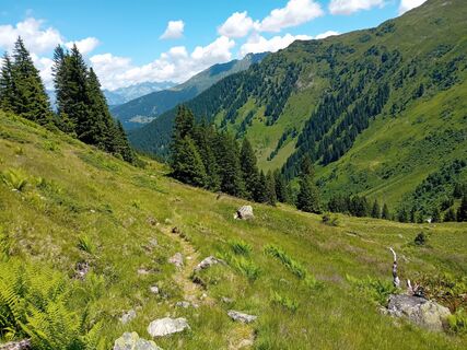 Fotografija s spletne strani Xenia Lange na poti