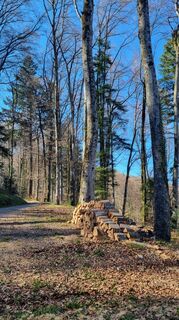 Foto von Erika Stricker entlang der Tour