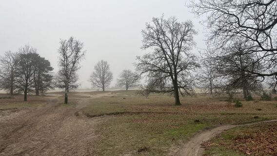 Foto von BJ van den Bosch entlang der Tour