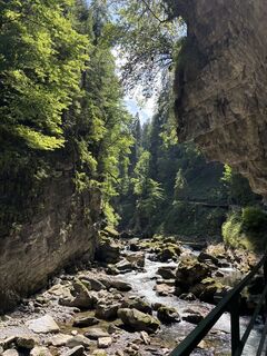 Photo de Lara Gerstberger le long du parcours