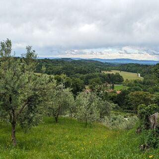 Panorama des Moränenhügels von Vialfré