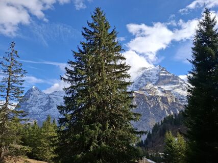 Фото с сайта Maurer Silvia во время экскурсии