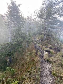 Photo de sophie le long du parcours