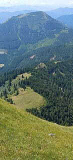 Fotografia z Alkam na trase