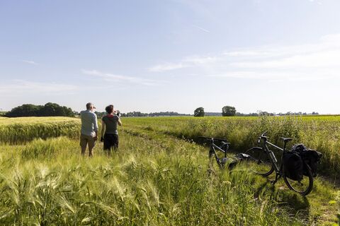 Münsterländer Parklandschaft auf dem R1