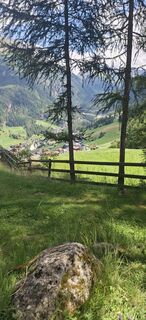 Photo de Cordula Faupel le long du parcours
