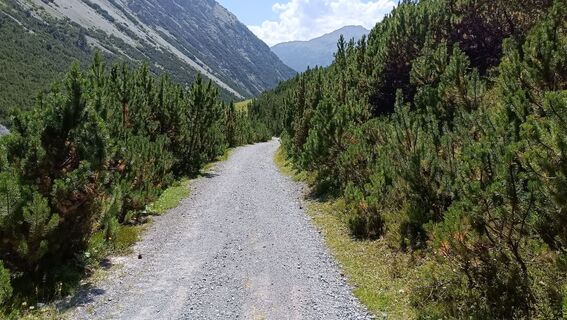 Fotografija s spletne strani Maurizio Dell'acqua na poti