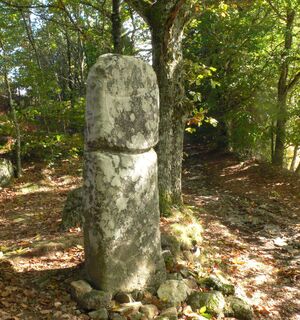Wanderung auf dem Prevert-Pfad0011 ©CDRP34