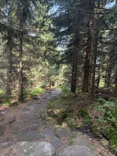Foto von Jakub Kałuski entlang der Tour