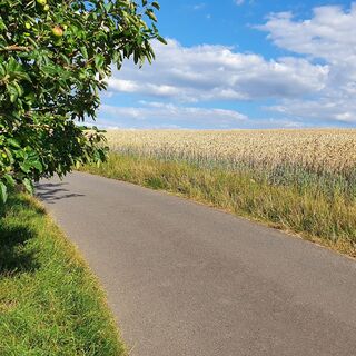 Schinderhannes-Untermosel-Radweg