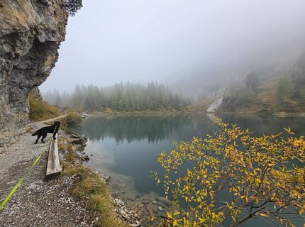 Photo de MRDL le long du parcours